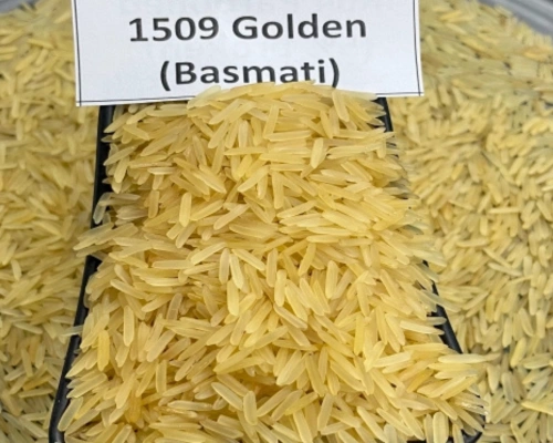 1509 Golden (Basmati Rice)